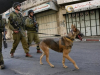 Soldados israelitas usam cães para impor a sua lei em Hebron