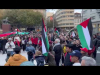 Música e danças palestinas na manifestação de 5 Nov 2023 no Porto